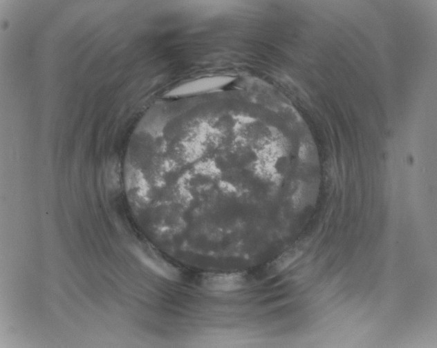 X0000070250081200606301636