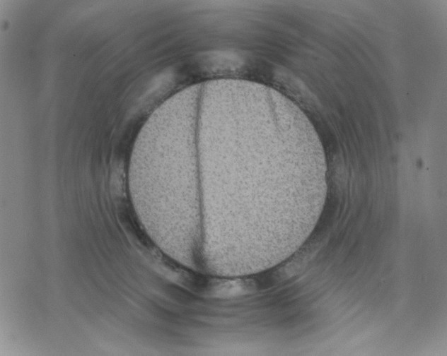 X0000070250083200606301636