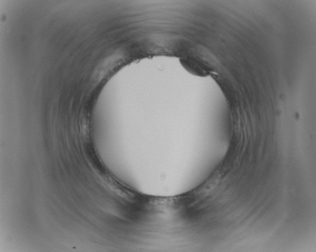 X0000070250084200606301636