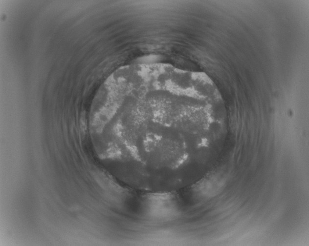 X0000070250085200606301636