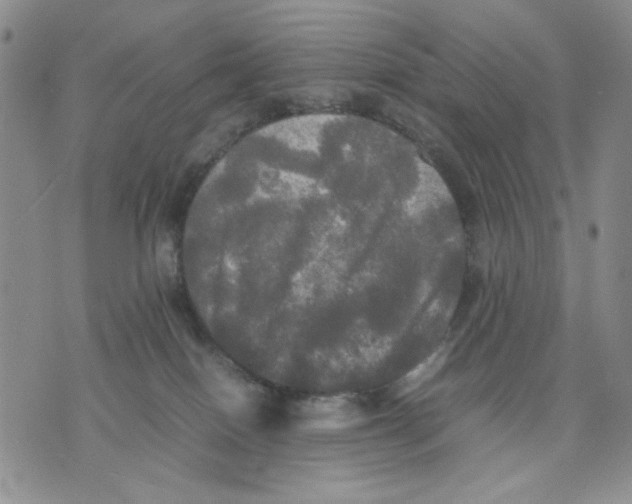 X0000070250086200606301636