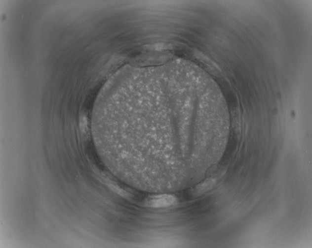 X0000070250087200606301636