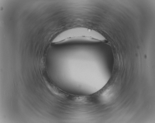 X0000070250088200606301636