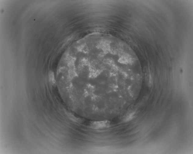 X0000070250089200606301636