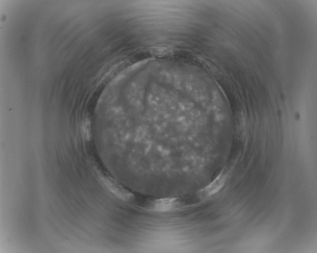 X0000070250090200606301636