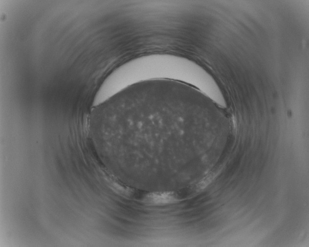 X0000070250093200606301636