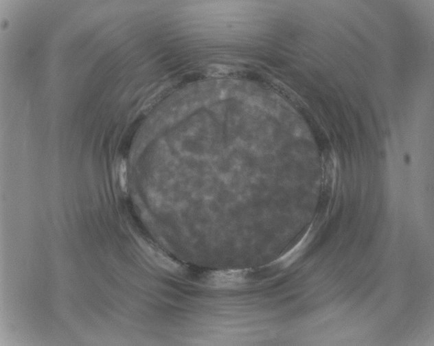 X0000070250094200606301637