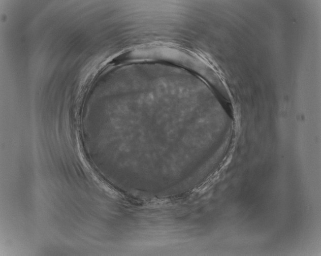 X0000070250097200606301636