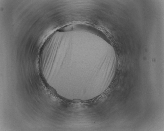 X0000070250098200606301636