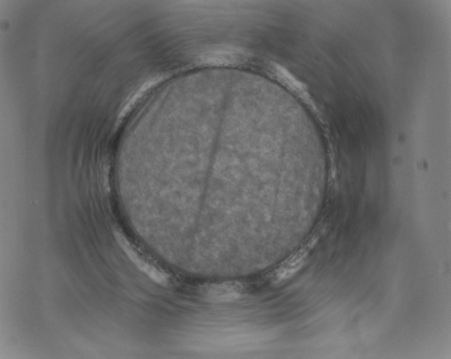 X0000070250106200606301636