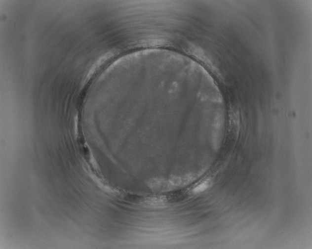 X0000070250110200606301636