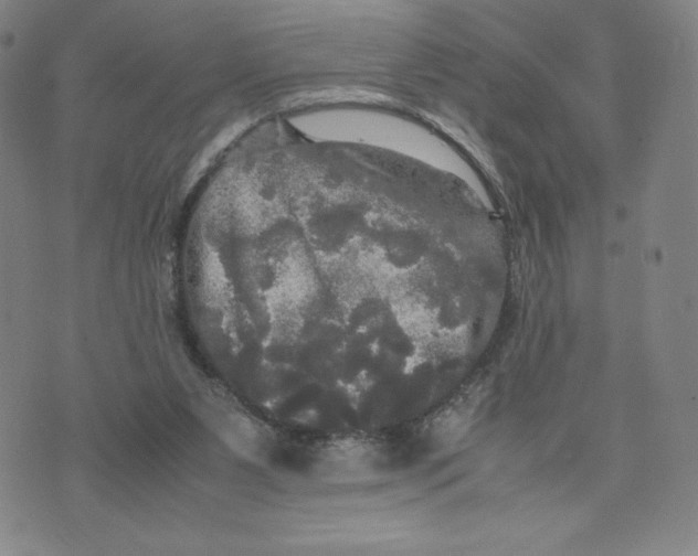 X0000070250111200606301636