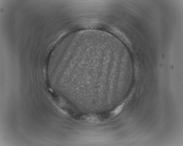 X0000070250113200606301635