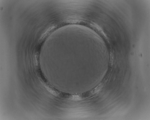 X0000070250114200606301635