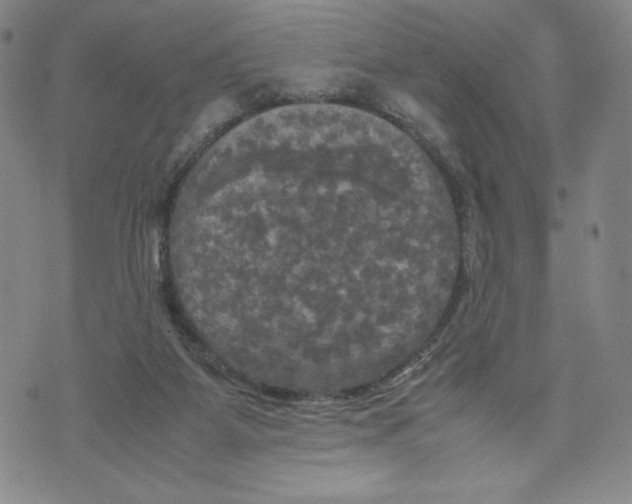 X0000070250115200606301635