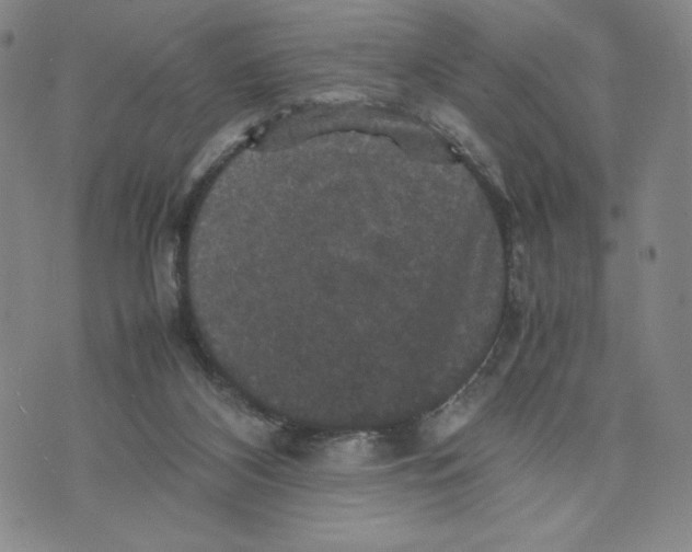 X0000070250116200606301635