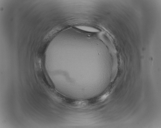 X0000070250117200606301635