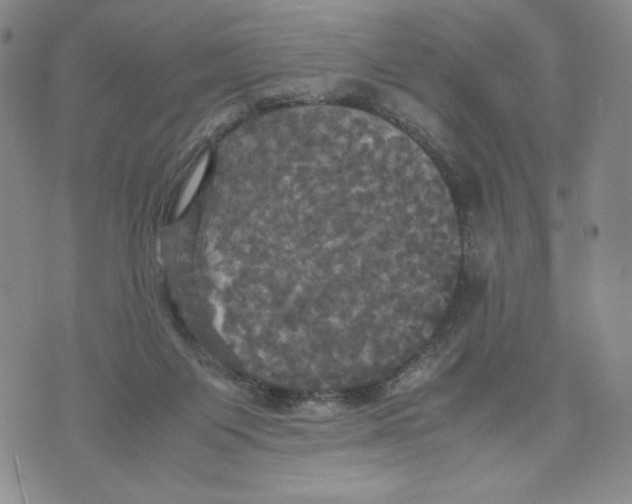 X0000070250119200606301635