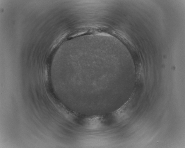 X0000070250120200606301635