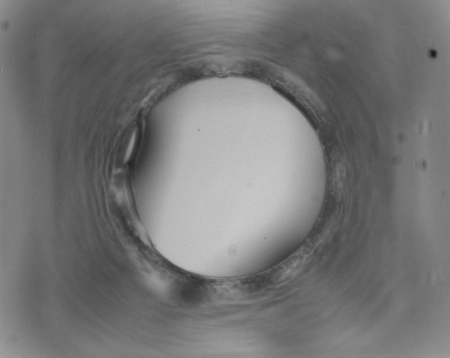 X0000070250121200606301635