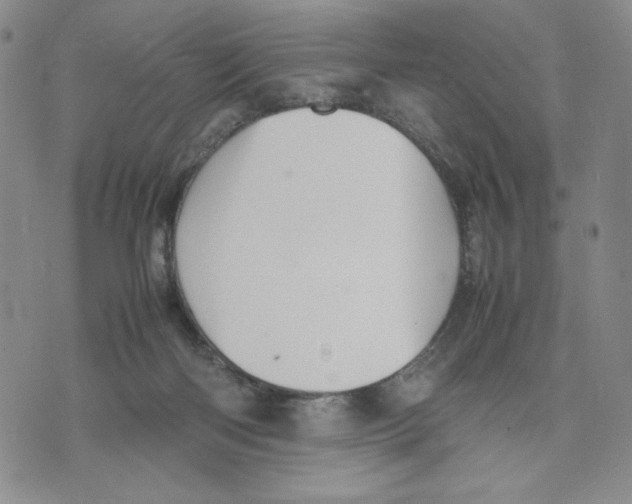 X0000070250122200606301635