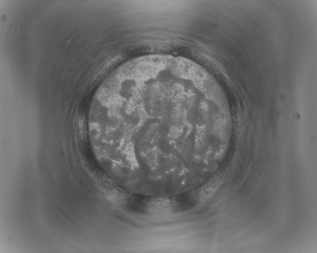 X0000070250123200606301635