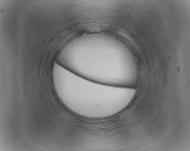 X0000070250125200606301635