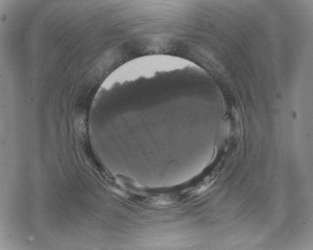 X0000070250127200606301635