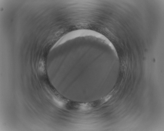 X0000070250130200606301635