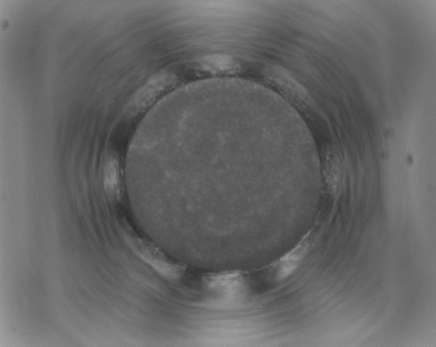 X0000070250132200606301635