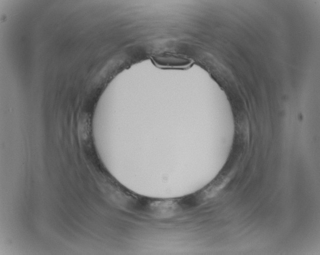 X0000070250133200606301635