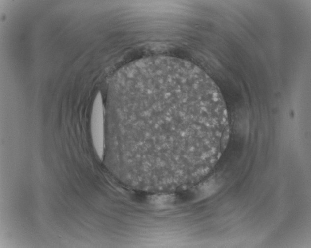 X0000070250135200606301635