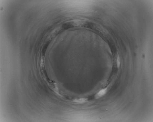 X0000070250137200606301635