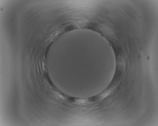 X0000070250139200606301635