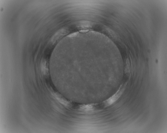 X0000070250140200606301635