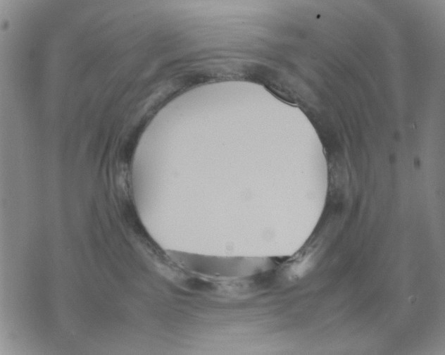 X0000070250141200606301635