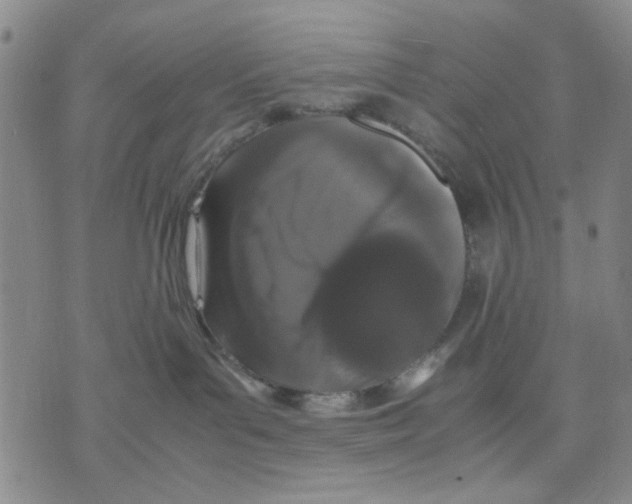 X0000070250143200606301635