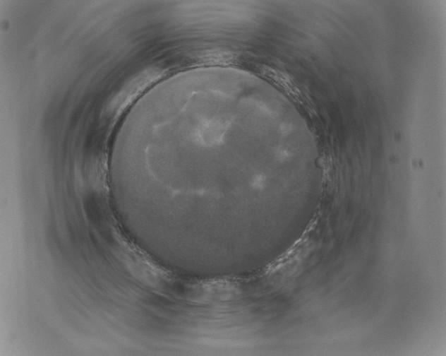 X0000070250146200606301634