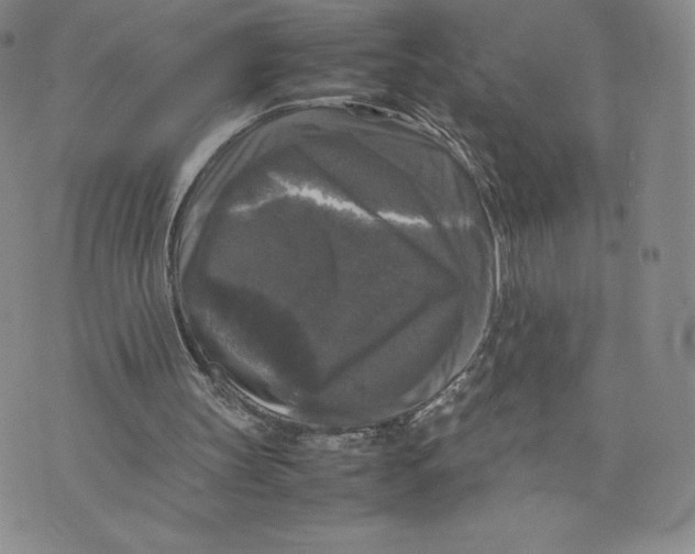 X0000070250147200606301634