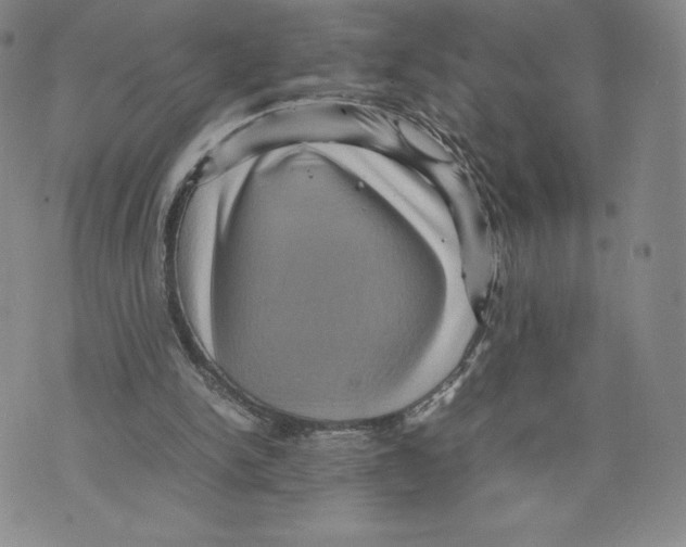 X0000070250150200606301634