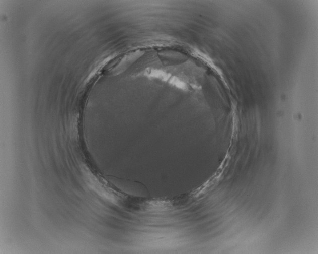 X0000070250154200606301634