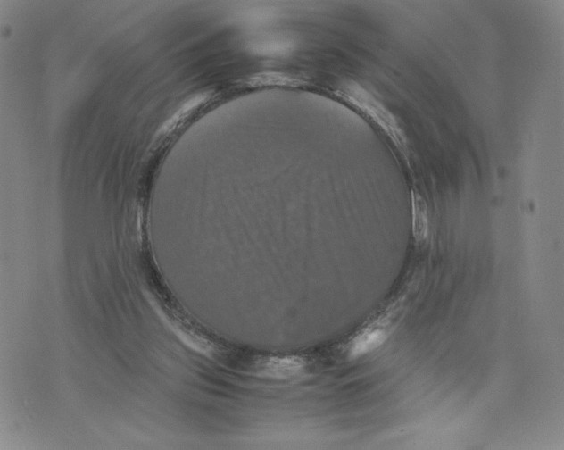 X0000070250157200606301634