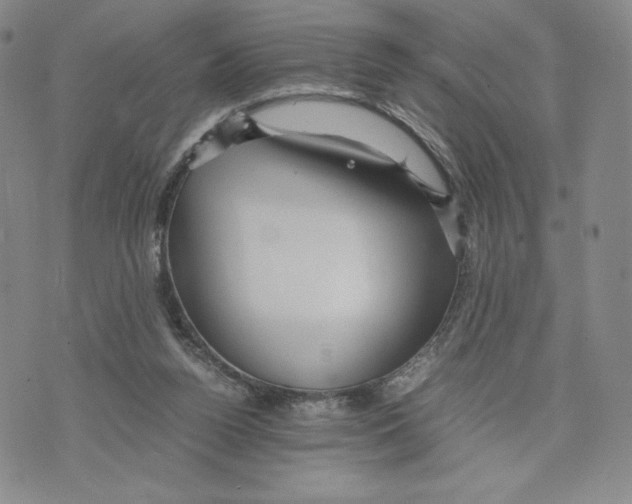 X0000070250160200606301634