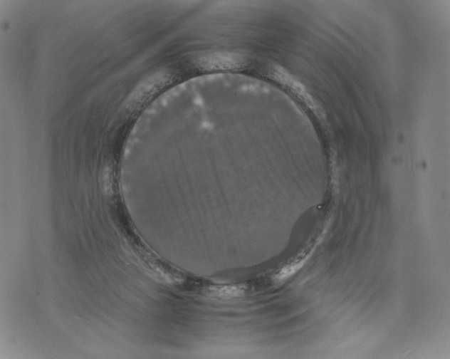 X0000070250161200606301634