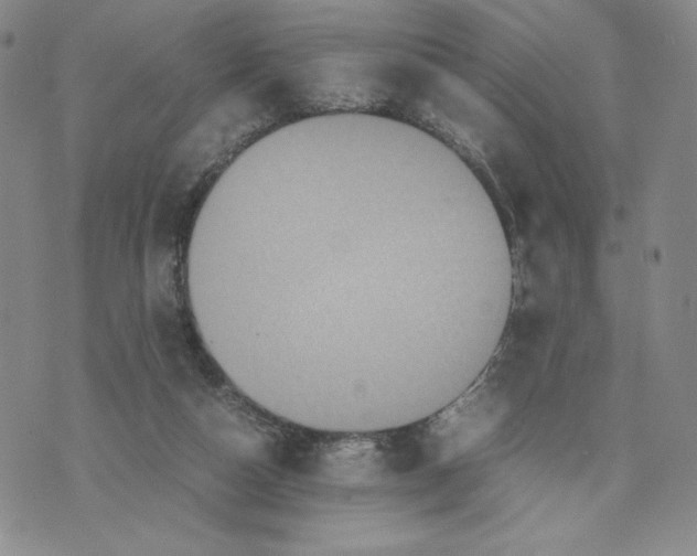 X0000070250162200606301634