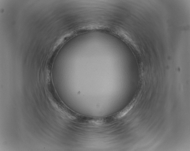 X0000070250164200606301635