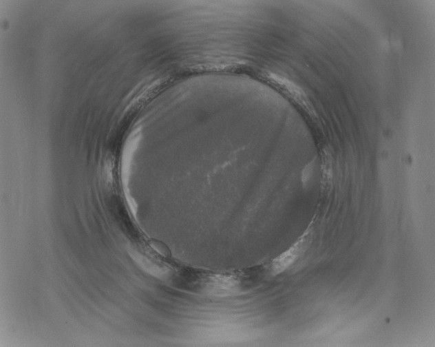 X0000070250166200606301635