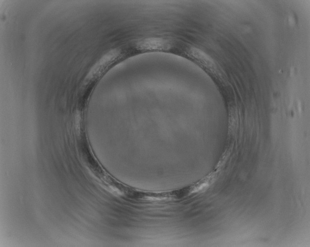 X0000070250167200606301635