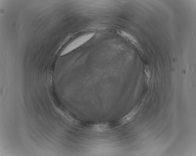 X0000070250168200606301635