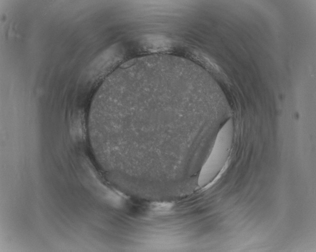 X0000070250170200606301635